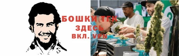 крисы Володарск