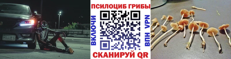 Псилоцибиновые грибы Psilocybe  наркошоп  ОМГ ОМГ сайт  Долинск 